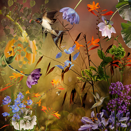 Hummingbird and floral digital photo collage